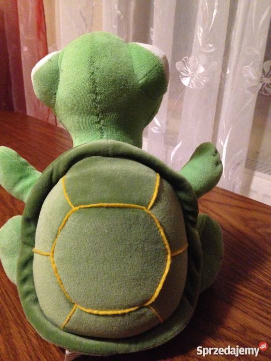 Żółw Albert eedu Nowe Miasto Lubawskie