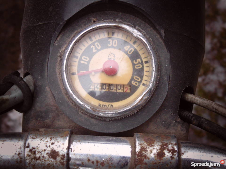 komar 3 i ogar 200 mazowieckie Ostrów Mazowiecka