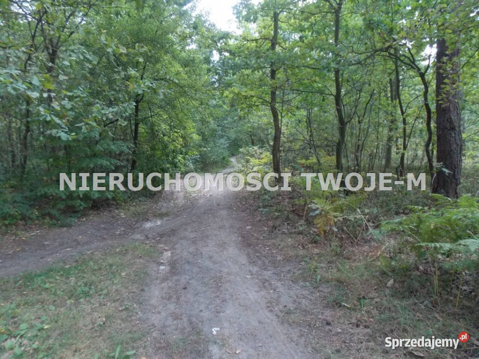grunt 1530m2 Ostrowiec Świętokrzyski 65m