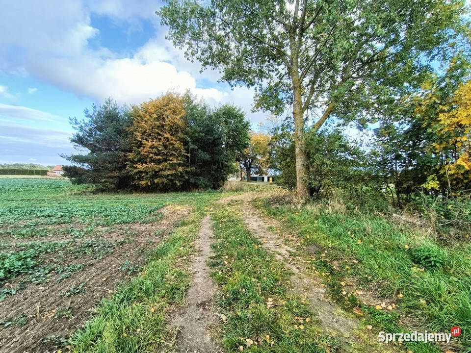 Działka rolna w tym budowlana około 050ha 40m2 Ludwin
