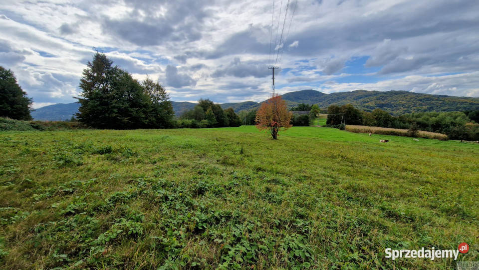 Działka Zegartowice 4000m2 szambo małopolskie