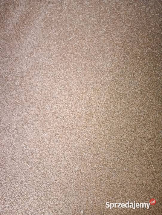 Sprzedam żyto na pasze Szczuczyn sprzedam