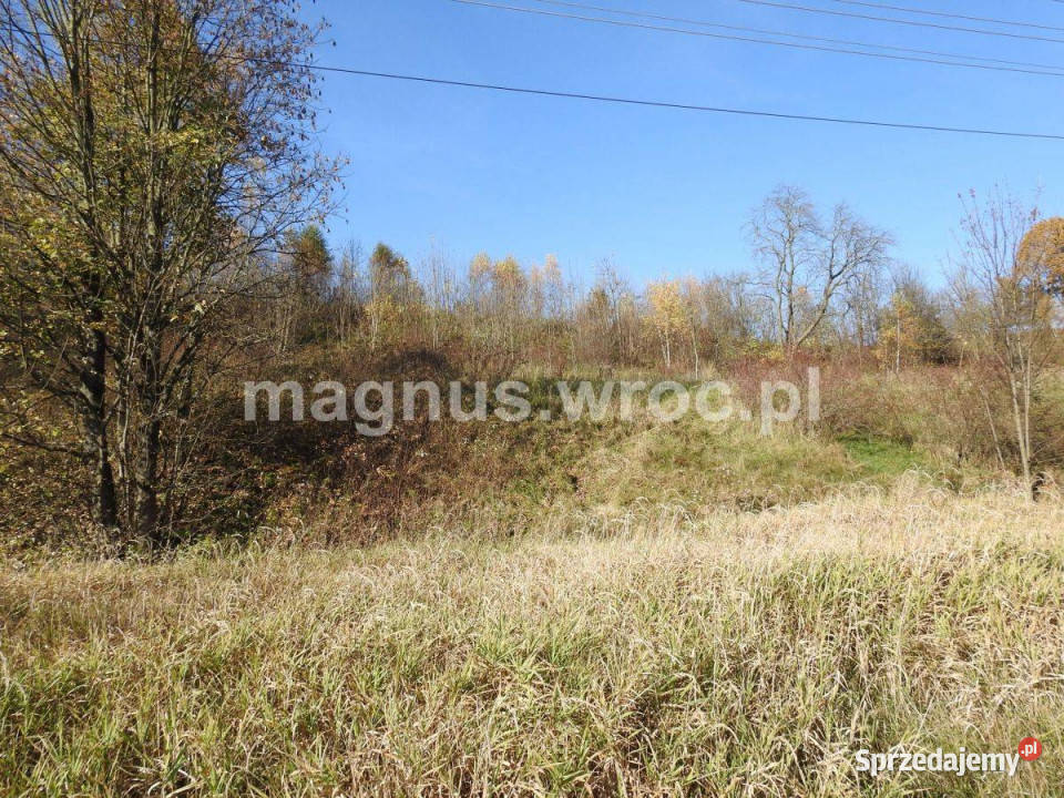 Na sprzedaż działka rolna bez Mpzp w górskim 50zł/m2 dolnośląskie sprzedam