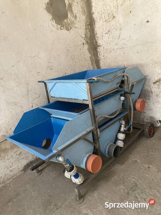 Sortownica do ryb na 3 sorty Jeleśnia