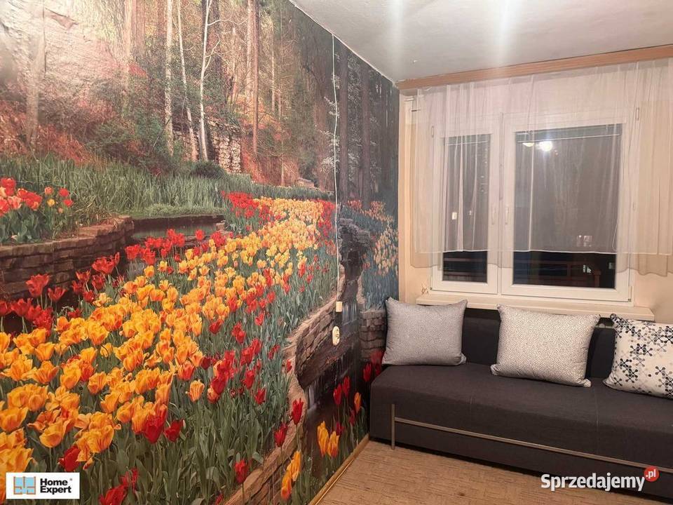 2pok 37met Pereca BALKONPIWNICA Wrocław