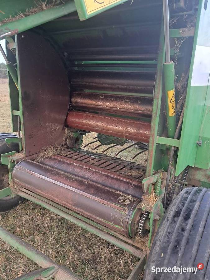 Sipma farma Rolujące (belujące) lubelskie