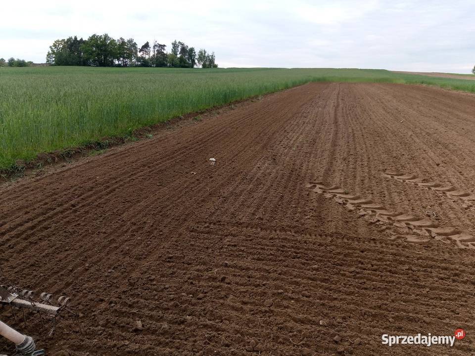 Agregat uprawowo siewny Wieluń