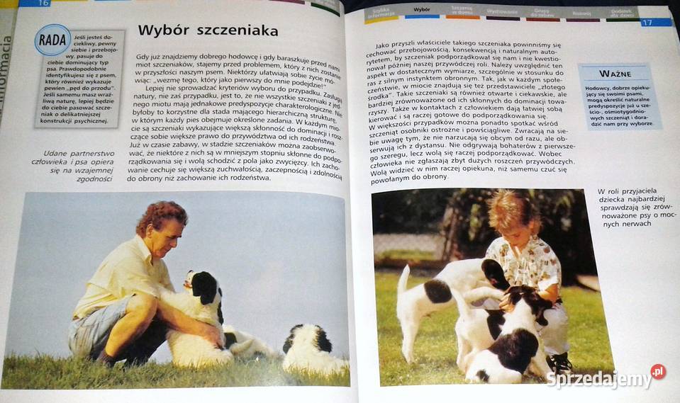 Szczenięta Heidi Rogner Chełm