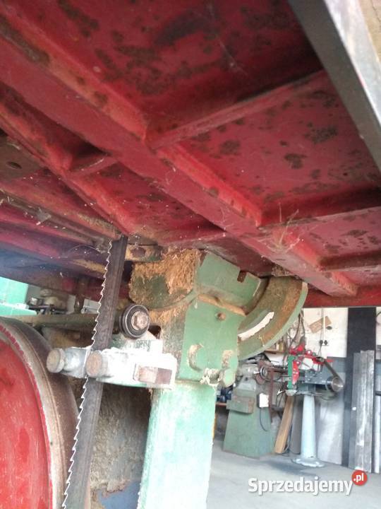 Piła taśmowa do drzewa Wysokie Mazowieckie