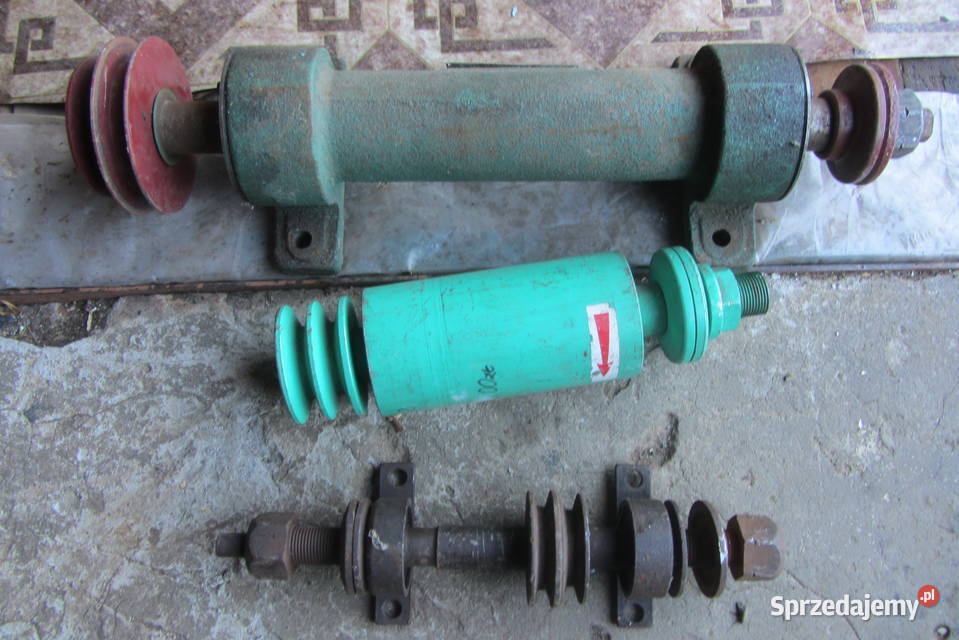 Wałek cyrkulatki krajzega Biłgoraj