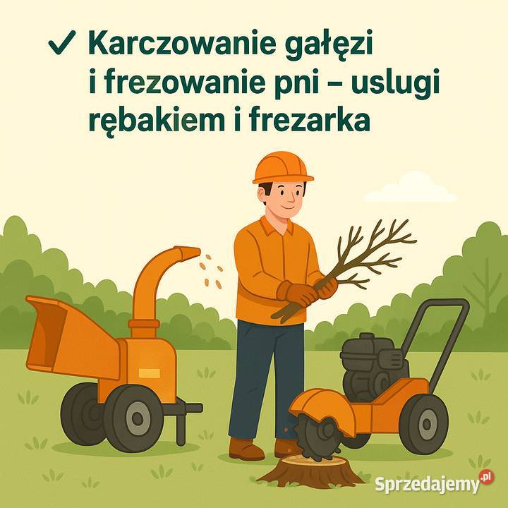 Karczowanie Rozdrabnianie Usuwanie Gałęzi Pni