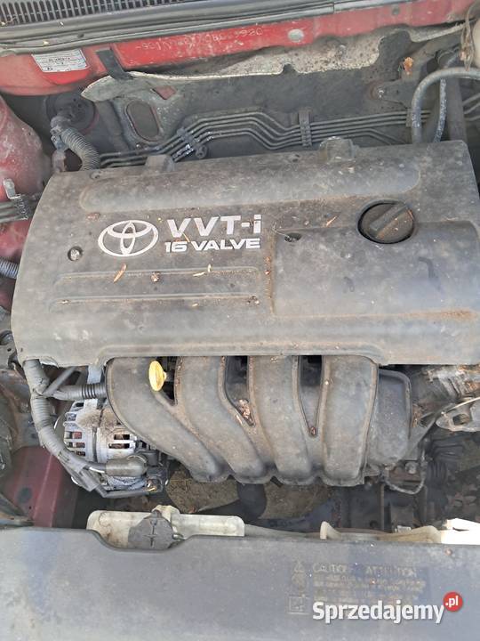 Toyota Corolla Na Afryke czerwony Szczecin