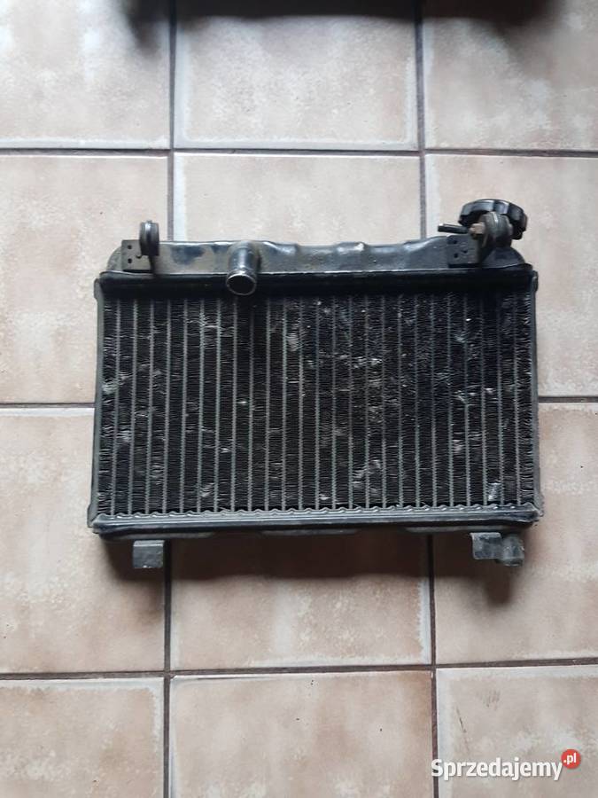 suzuki rg 125 rg 250 chlodnica Jędrzejów