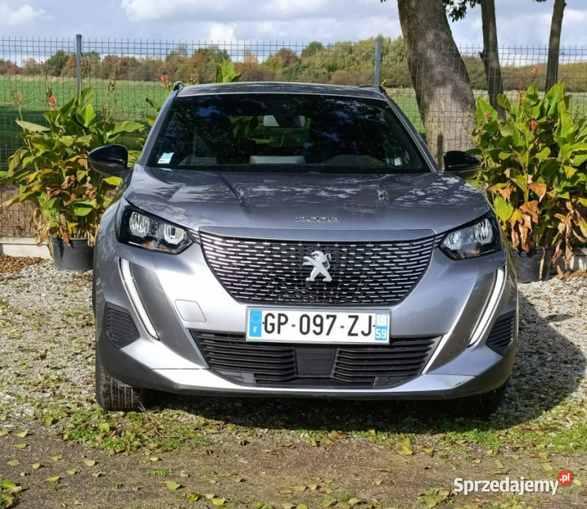 Peugeot 2008 2008 8 II 2019 asystent pasa ruchu Pleszew