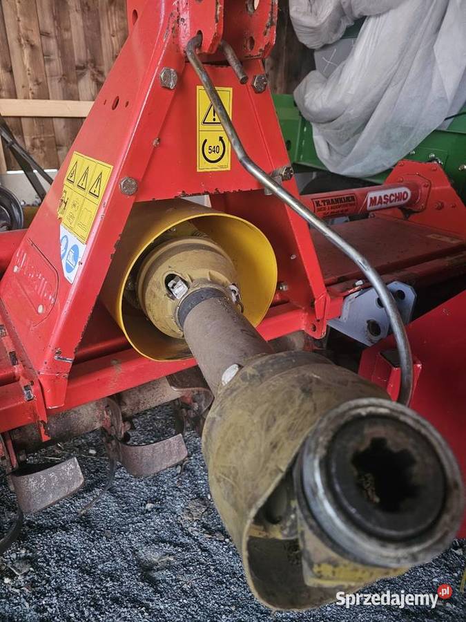 Glebogryzarka maschio nieuszkodzony Sosnowa