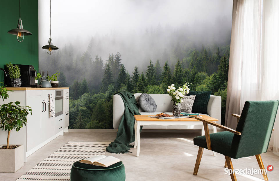 Tapeta fototapeta Las we mgle Las 13907 wewnętrzne wielkopolskie Leszno