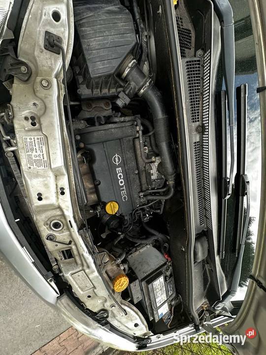 Opel Meriva 14 Ecotec