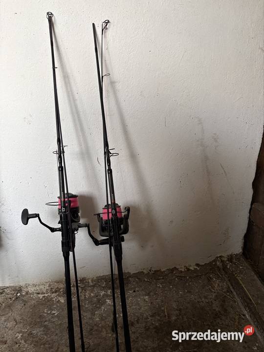 Zestaw karpiowy Prologic 240 Cormoran 5500 LM Dobrzyca