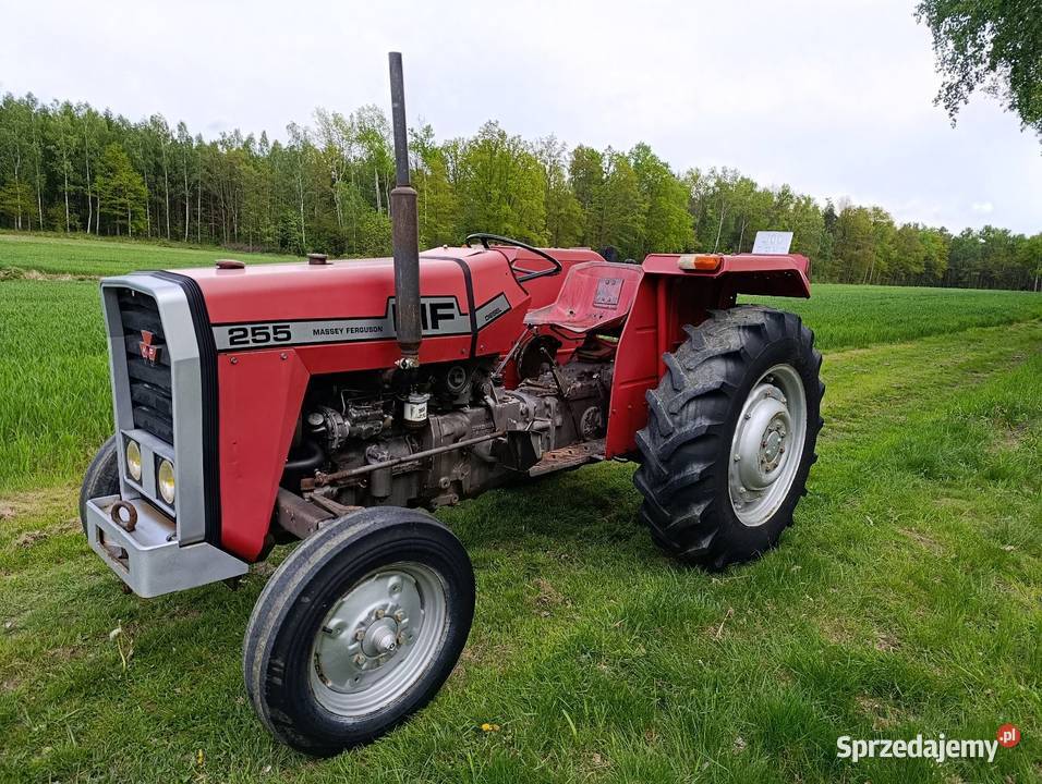 Ferguson MF 255 nie 3512 zarejestrowany sprawny Rolnictwo Praszka