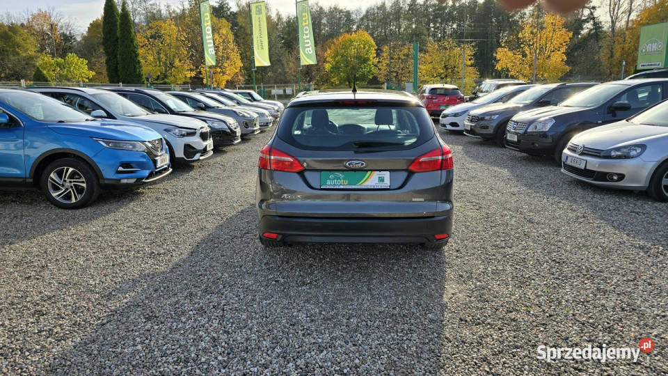 Ford Focus LED serwisowany Mk3 20102018 Rok produkcji 2014 Zieleniewo