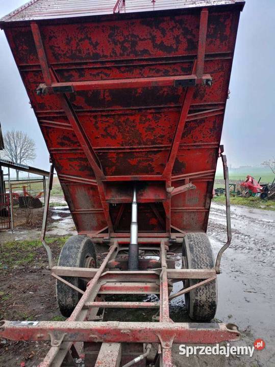 Sprzedam przyczepę jednoosiową Przasnysz