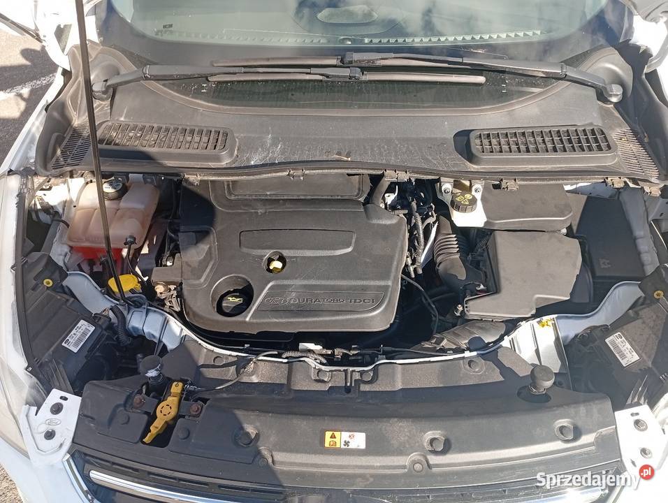 Sprzedam Ford Kugastan idealny czujnik zmierzchu Kuga opolskie