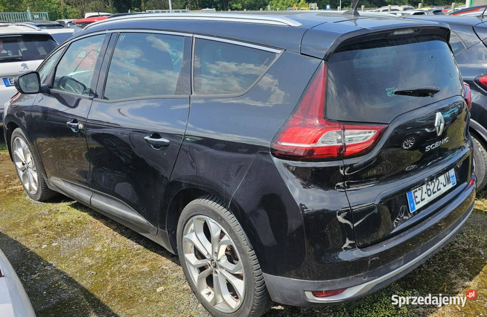 Renault Grand Scenic 7osobowy 80 III 20162021 wielkopolskie Pleszew