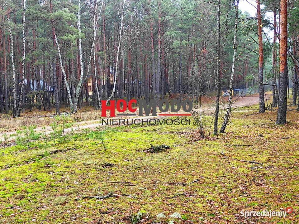 Rekreacyjne działki leśne w Popowie Letnisku Huta Podgórna