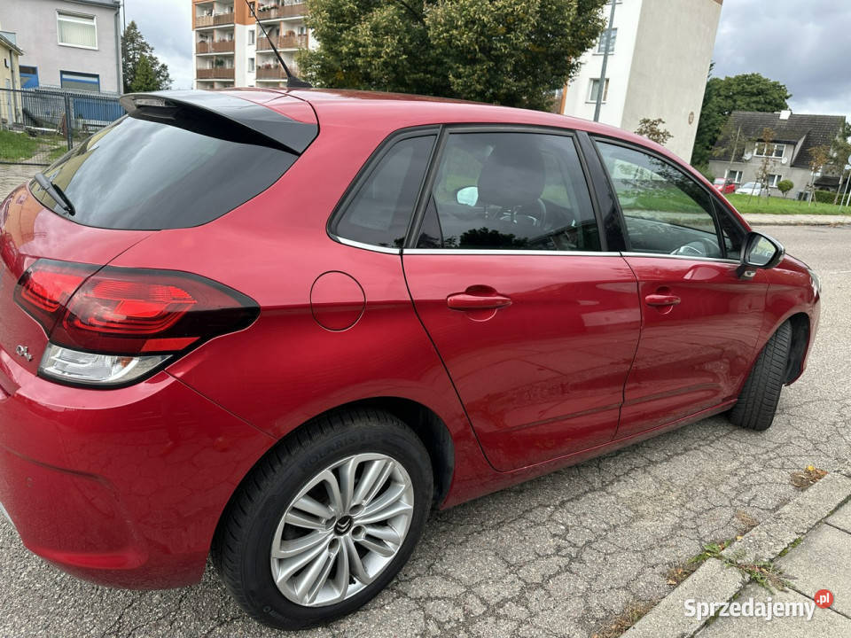 Citroen C4 Kupiony w polskim salonie nowy