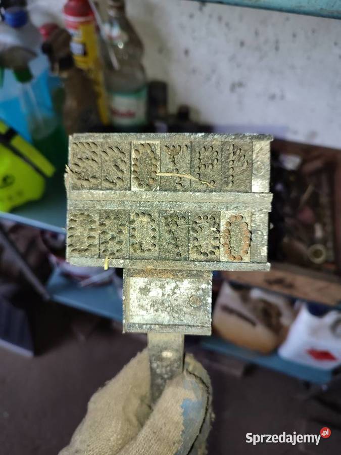 Tatuownica do znakowania świń trzody chlewnej Dąbrówka Mała