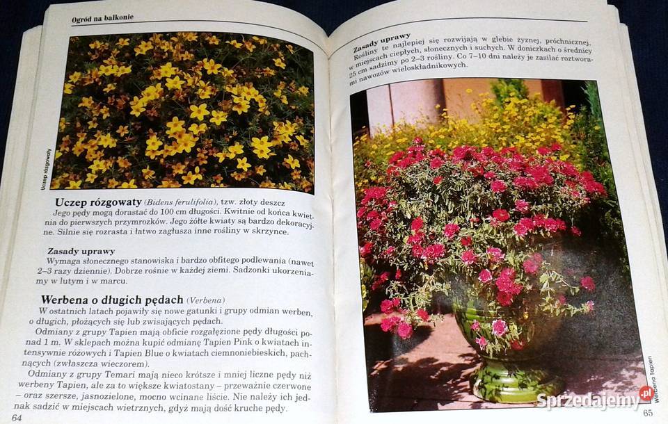 Ogród na balkonie Agnieszka Sokołowska sprzedam