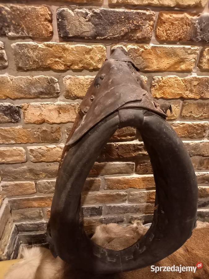 chomąto homąto homonto chomonto Gdańsk