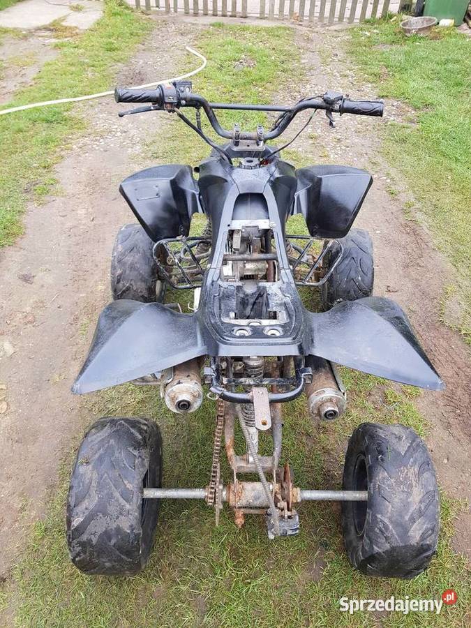 Quad 110 części Jatki