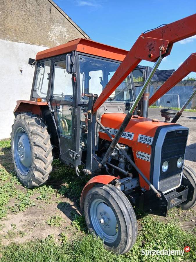 Mf 255 Gołuchów