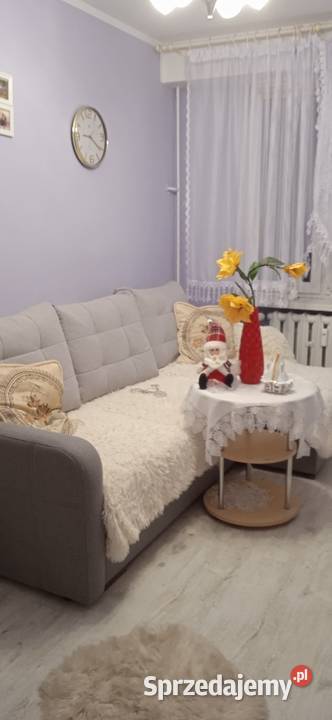 Sprzedam mieszkanie w lokalizacji piwnica Chełmża sprzedam