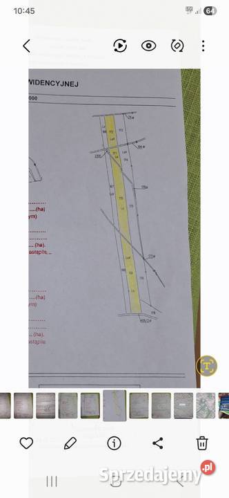 Sprzedam las w Chodlu 4 działki szeregowe Chodel