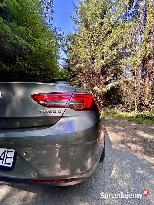 Opel INSIGNIA 20 CDTI elektryczne lusterka Mszana Dolna