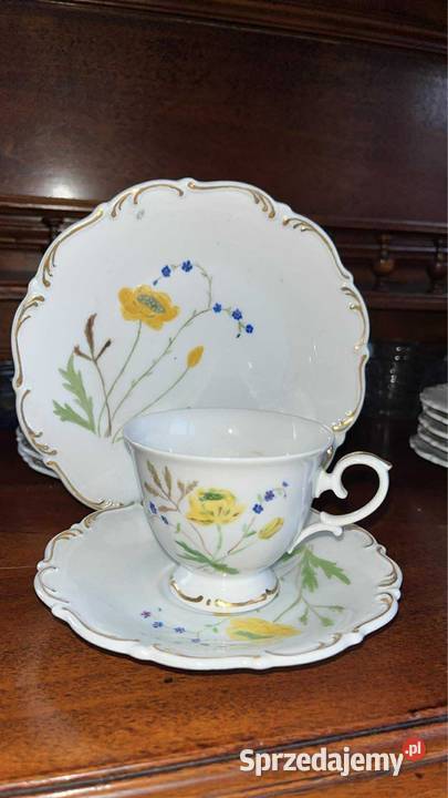 Filiżanka z talerzkiem Tirschenreuther Gdańsk