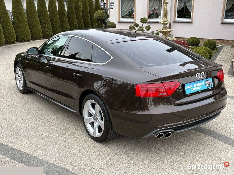 Audi A5 Sportback 20 TDI DPF 136 2013r Stan wielkopolskie Krotoszyn