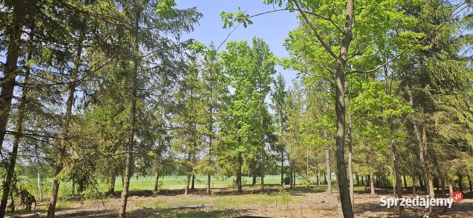 Działka bud 1202M2 WZ STUDNIE
