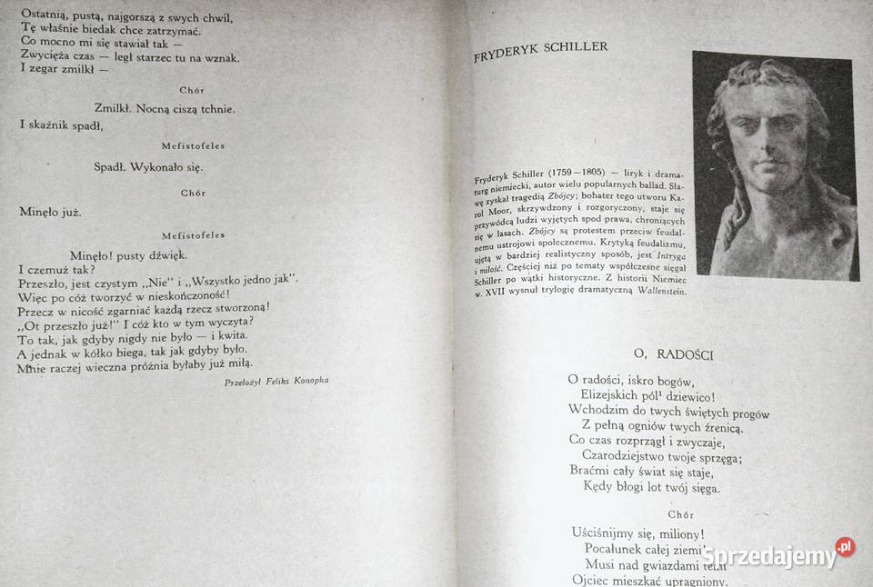 Wypisy z literatury powszechnej Lesław Chełm sprzedam