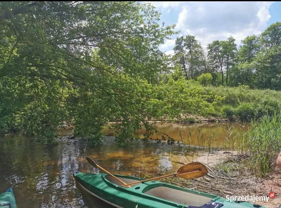 WYNAJEM KAJAKÓW WARTA WIDAWKA GRABIA Zduńska Wola