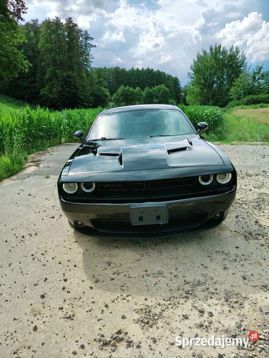 Dodge Challenger SXT PLUS 36 V6 BLACK TOP 2019r Lublin