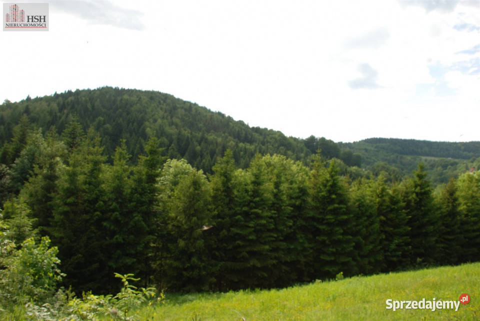 Do sprzedaży działka 14000m2 Żarnówka