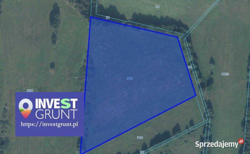 1146 ha przetarg na dzierżawę gruntów rolnych Wynajem wielkopolskie Biernatowo