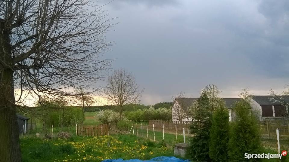 Działka z budynkami w spokojnej okolicy Grunty i działki mazowieckie Jastrząb