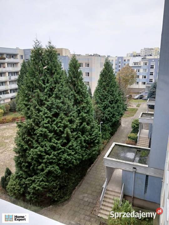 2pok 51met Skrzydlatej ROZKŁADLOGGIAKOMÓRKA Liczba pokoi 2 Wrocław