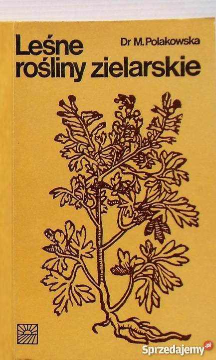 LEŚNE ROŚLINY ZIELARSKIE POLAKOWSKA