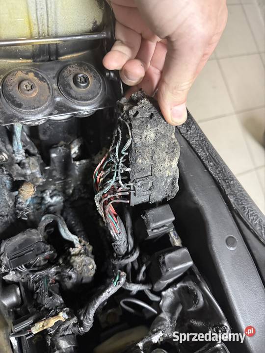 Zontes 703F 2025 Salon Polska zarejestrowany w Polsce Zontes Zontes Zawiercie