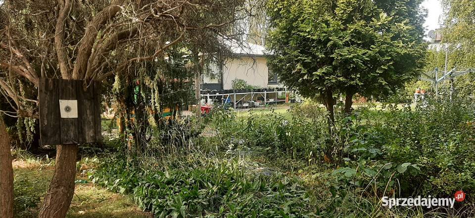 Działki 1000m2 z domkiem 65m2 w Tuszynie Tuszyn